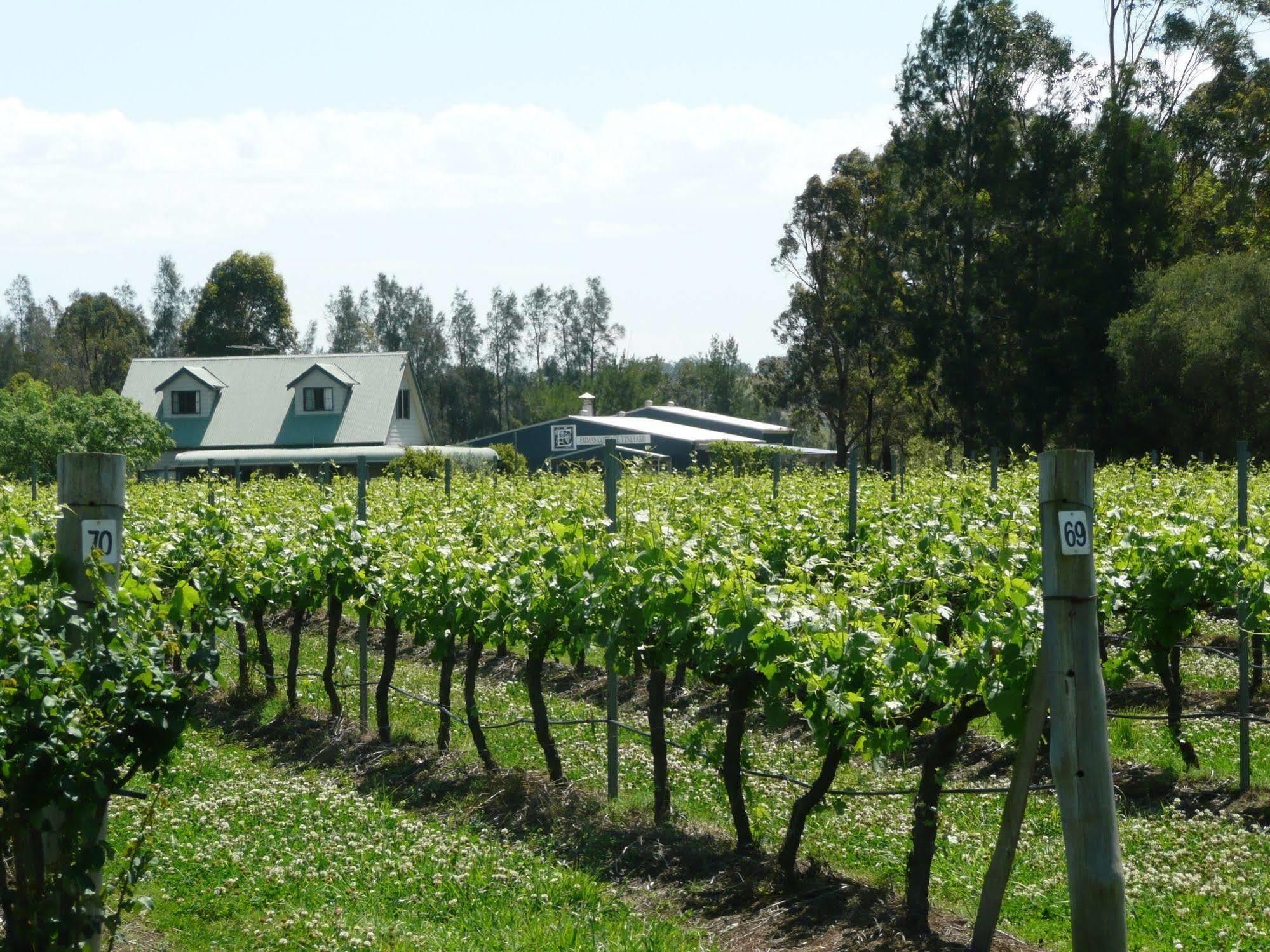Emma'S Cottage Vineyard Lovedale Bagian luar foto